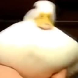 David's avatar